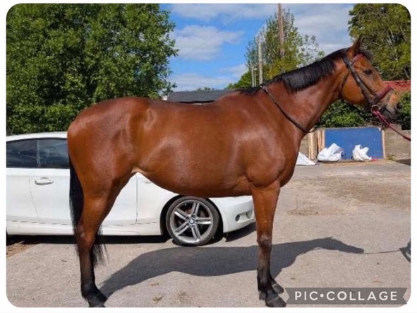 Tally after using ULC30 EX