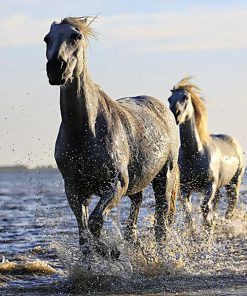 Effective organic supplements for horses