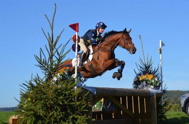 Horse products from Devon