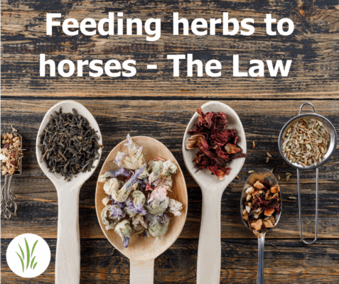 herbal horse supplements law